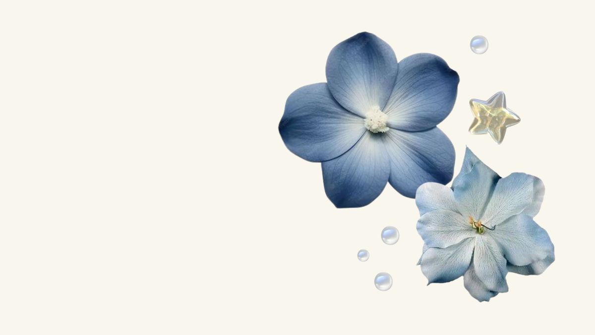 Slideshow Image 1 of 8