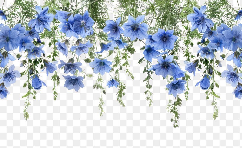 Slideshow Image 5 of 8